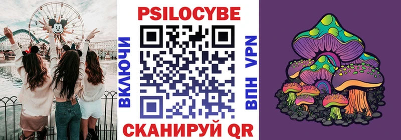 Галлюциногенные грибы прущие грибы  купить закладку  Новошахтинск 